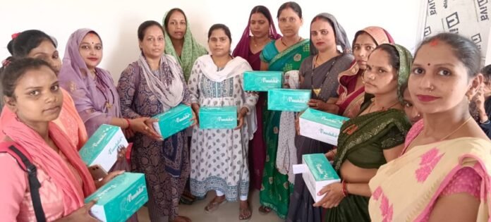Mission Shakti: नीलम गुप्ता ने सैनिटरी पैड उद्यम से लिखी स्वावलंबन की कहानी