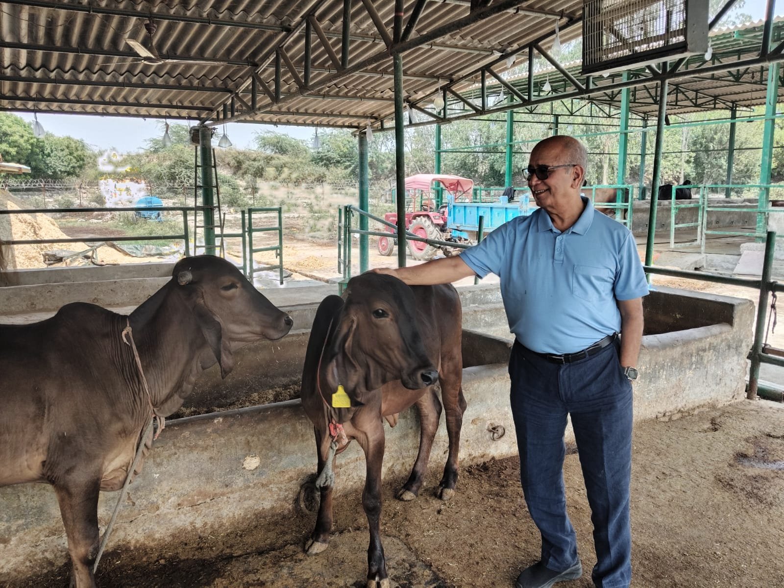 उत्तर प्रदेश की देसी गायों का हाई प्रोटीन दूध अब भारतीय सेना की पहली पसंद, बड़े शहरों में ऑनलाइन उपलब्ध