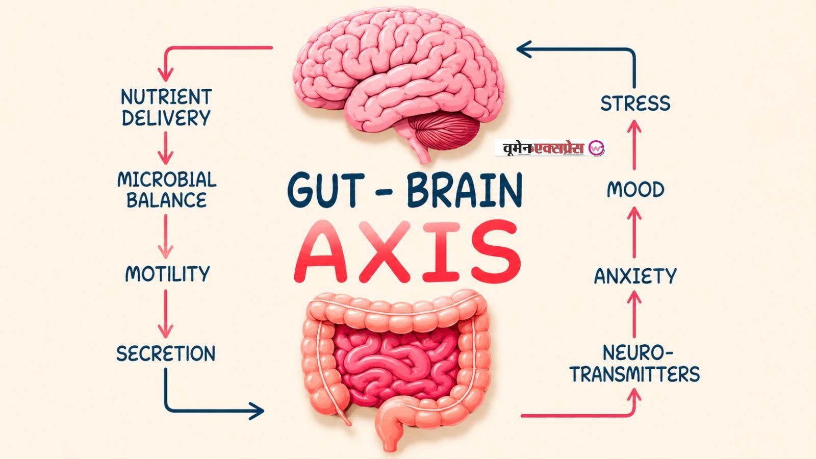 Gut - Brain AXIS